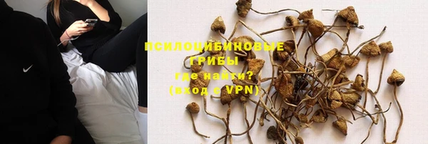 spice Абдулино
