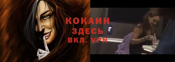 прущие грибы Абинск