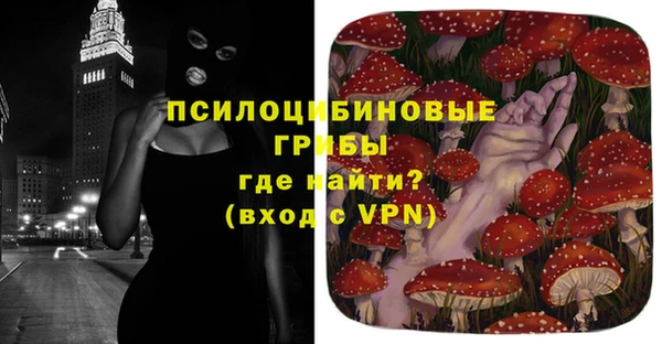 кокс Алексин