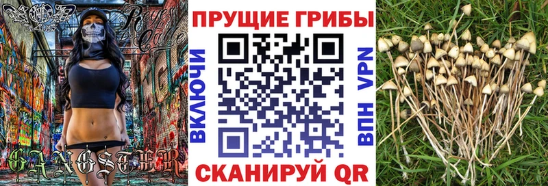 где купить   площадка телеграм  Галлюциногенные грибы Magic Shrooms  Алексин 